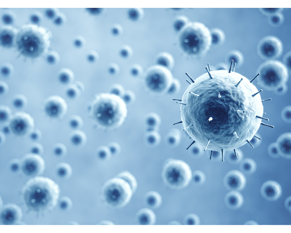 Infectious Disease Vaccine Trials